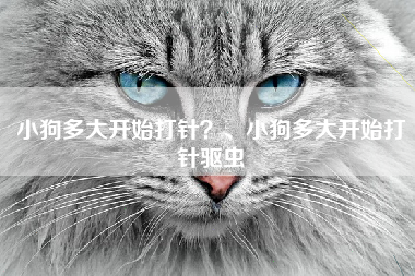 小狗多大开始打针？、小狗多大开始打针驱虫