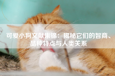 可爱小狗文献集锦：揭秘它们的智商、品种特点与人类关系