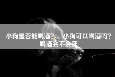 小狗是否能喝酒？、小狗可以喝酒吗？喝酒会不会死