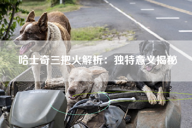 哈士奇三把火解析：独特意义揭秘
