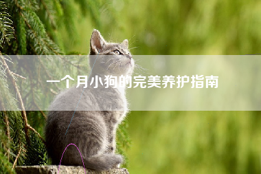 一个月小狗的完美养护指南
