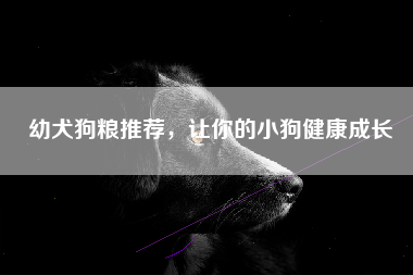 幼犬狗粮推荐，让你的小狗健康成长