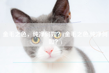 金毛之色，纯净何如？(金毛之色,纯净何如？)