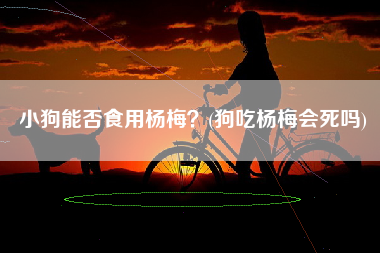小狗能否食用杨梅？(狗吃杨梅会死吗)