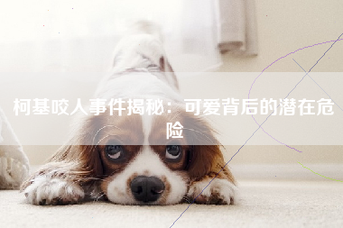 柯基咬人事件揭秘：可爱背后的潜在危险