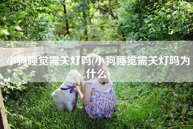 小狗睡觉需关灯吗(小狗睡觉需关灯吗为什么)