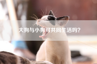 大狗与小狗可共同生活吗？