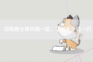白色哈士奇价格一览，了解多少钱一只
