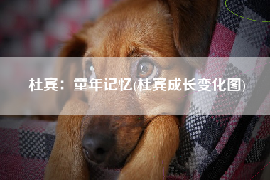 杜宾：童年记忆(杜宾成长变化图)
