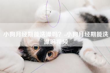 小狗月经期能洗澡吗？-小狗月经期能洗澡吗视频