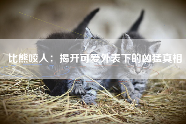 比熊咬人：揭开可爱外表下的凶猛真相
