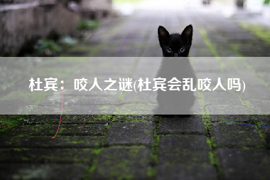 杜宾：咬人之谜(杜宾会乱咬人吗)