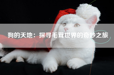 狗的天地：探寻毛茸世界的奇妙之旅