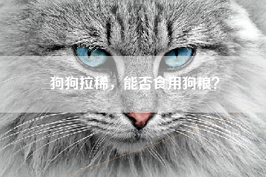 狗狗拉稀，能否食用狗粮？