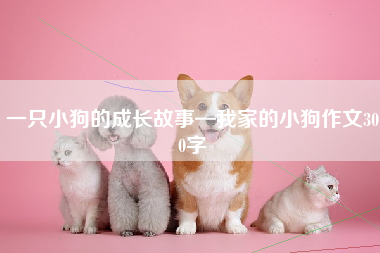 一只小狗的成长故事—我家的小狗作文300字