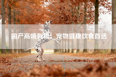 国产高端狗粮：宠物健康饮食首选