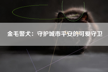 金毛警犬：守护城市平安的可爱守卫