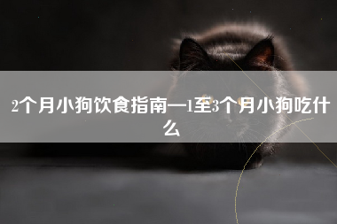 2个月小狗饮食指南—1至3个月小狗吃什么