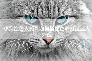小狗涂色攻略：如何搭配色彩打造迷人外观