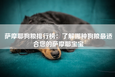 萨摩耶狗粮排行榜：了解哪种狗粮最适合您的萨摩耶宝宝