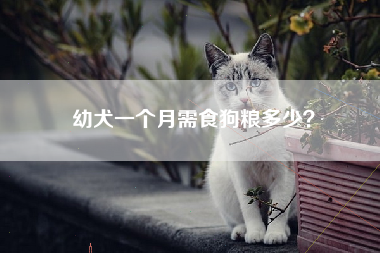 幼犬一个月需食狗粮多少？