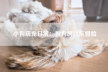 小狗萌宠日常：狗狗的欢乐冒险