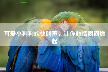 可爱小狗狗欢快叫声，让你心情瞬间燃起