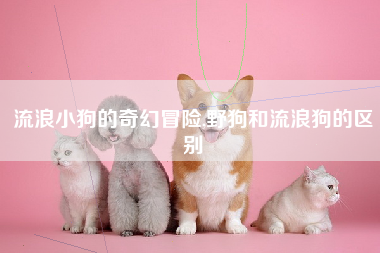 流浪小狗的奇幻冒险,野狗和流浪狗的区别