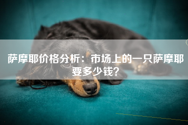 萨摩耶价格分析：市场上的一只萨摩耶要多少钱？