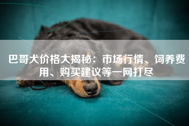 巴哥犬价格大揭秘：市场行情、饲养费用、购买建议等一网打尽