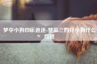 梦中小狗欢乐追逐-梦见三四只小狗什么意思