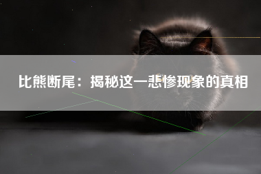比熊断尾：揭秘这一悲惨现象的真相