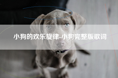小狗的欢乐旋律-小狗完整版歌词