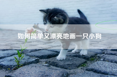 如何简单又漂亮地画一只小狗