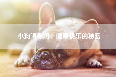 小狗喝牛奶，健康快乐的秘密