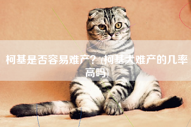 柯基是否容易难产？(柯基犬难产的几率高吗)