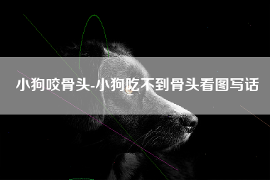 小狗咬骨头-小狗吃不到骨头看图写话