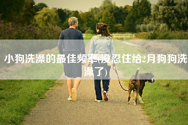 小狗洗澡的最佳频率(没忍住给2月狗狗洗澡了)