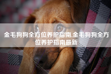 金毛狗狗全方位养护指南,金毛狗狗全方位养护指南最新