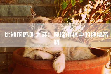 比熊的鸣叫之谜：窥探山林中的神秘音调