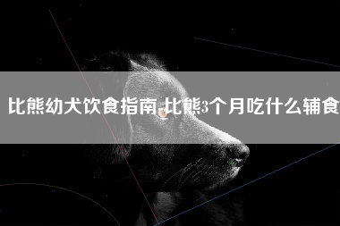 比熊幼犬饮食指南-比熊3个月吃什么辅食