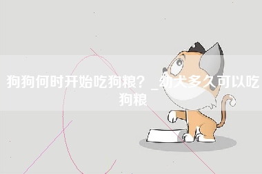 狗狗何时开始吃狗粮？_幼犬多久可以吃狗粮