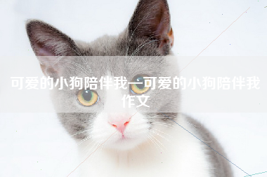 可爱的小狗陪伴我—可爱的小狗陪伴我作文