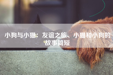 小狗与小猫：友谊之旅、小猫和小狗的故事简短