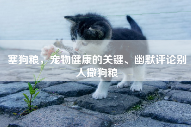 塞狗粮，宠物健康的关键、幽默评论别人撒狗粮