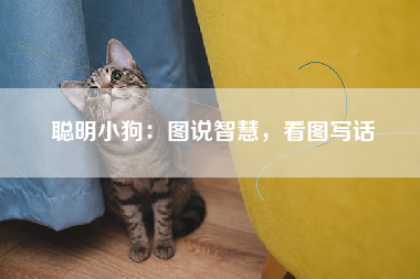 聪明小狗：图说智慧，看图写话