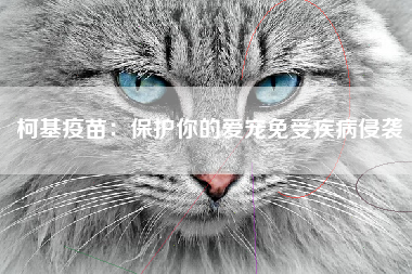 柯基疫苗：保护你的爱宠免受疾病侵袭