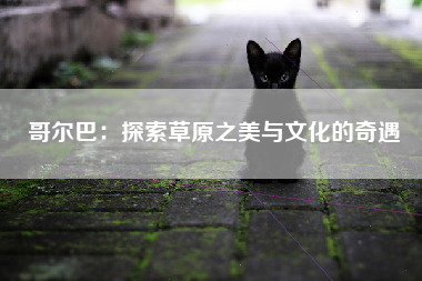 哥尔巴：探索草原之美与文化的奇遇