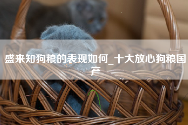 盛来知狗粮的表现如何_十大放心狗粮国产