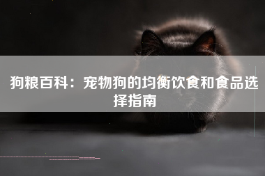 狗粮百科：宠物狗的均衡饮食和食品选择指南